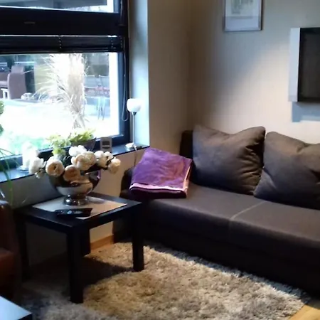Ferienwohnanlage Zur Himmelsleiter Apartment Tirschenreuth
